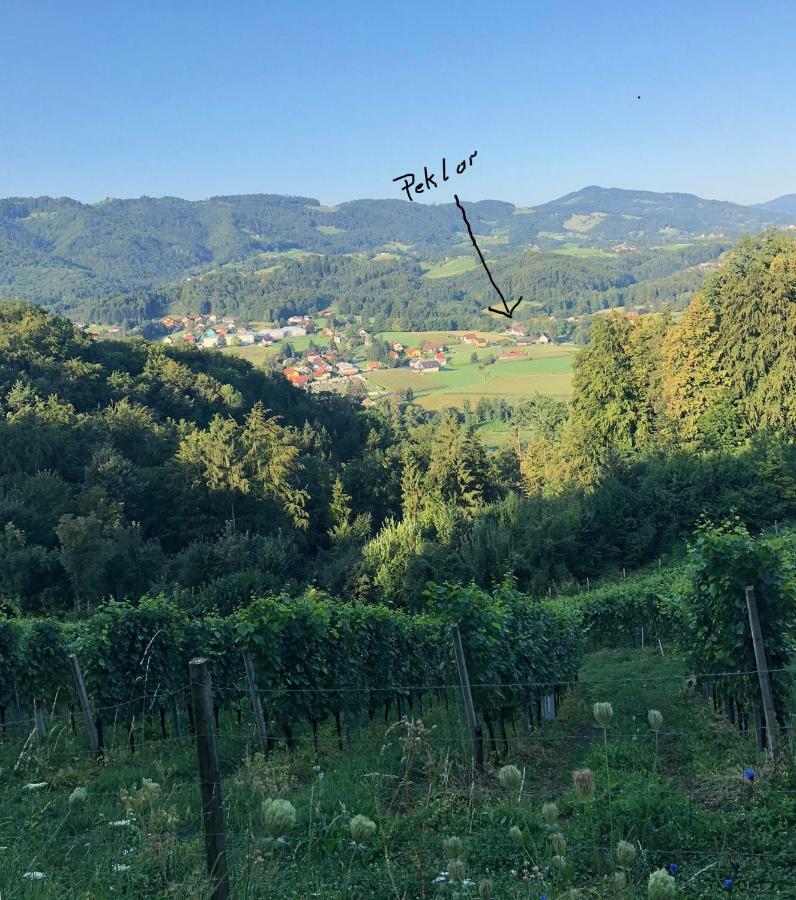 Ferienwohnung Peklar Arnfels Exterior foto